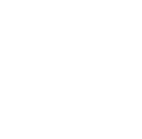 Github skill